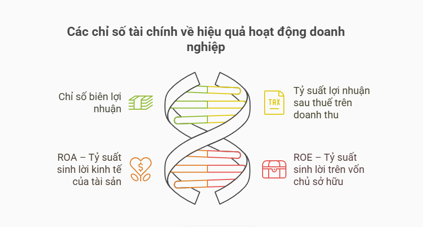 Các chỉ số tài chính về hiệu quả hoạt động doanh nghiệp