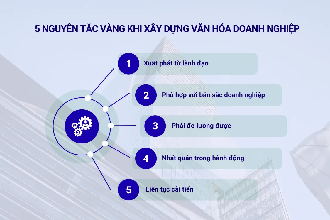 5 nguyên tắc vàng khi xây dựng văn hóa doanh nghiệp