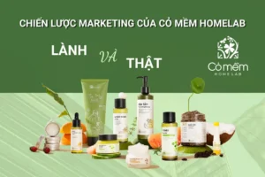 Chiến lược marketing của Cỏ Mềm Homelab
