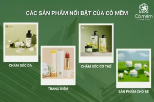 Danh mục sản phẩm của Cỏ Mềm Homelab