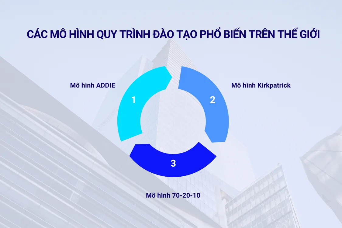 Các mô hình quy trình đào tạo phổ biến trên thế giới